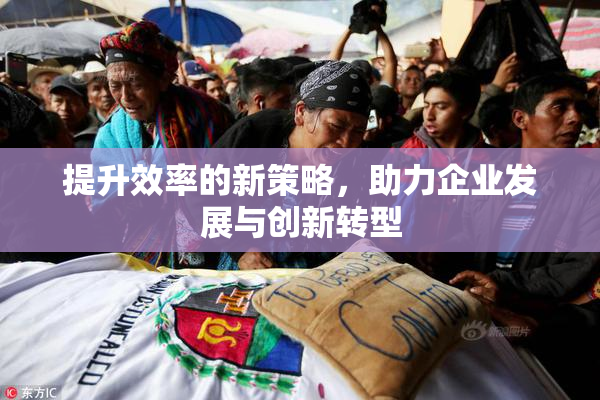 提升效率的新策略，助力企业发展与创新转型
