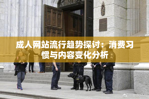 成人网站流行趋势探讨：消费习惯与内容变化分析