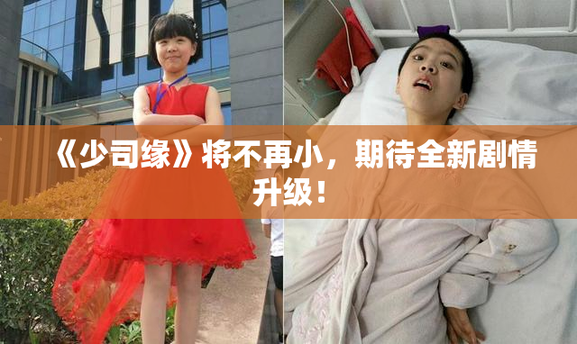 《少司缘》将不再小，期待全新剧情升级！