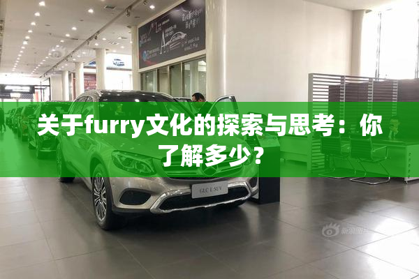 关于furry文化的探索与思考：你了解多少？