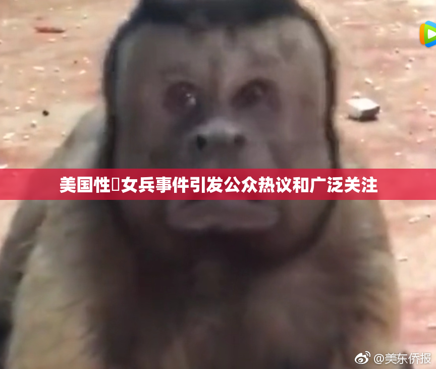 美国性婬女兵事件引发公众热议和广泛关注