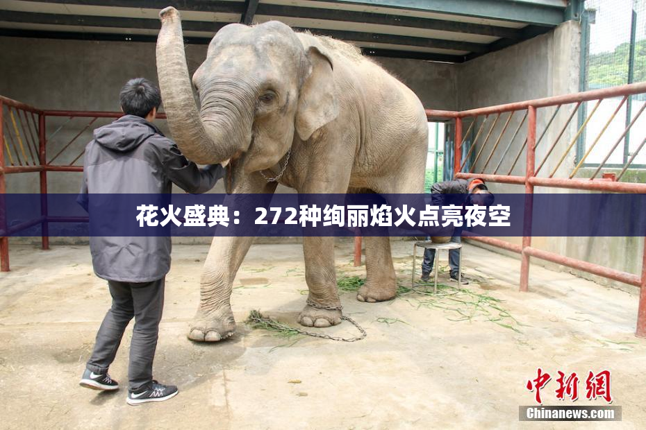 花火盛典：272种绚丽焰火点亮夜空