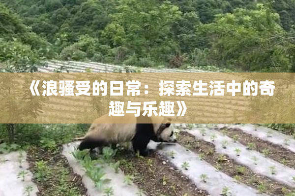 《浪骚受的日常：探索生活中的奇趣与乐趣》