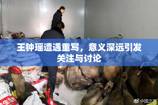 王钟瑶遭遇重写，意义深远引发关注与讨论