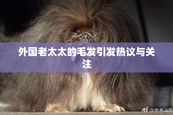 外国老太太的毛发引发热议与关注