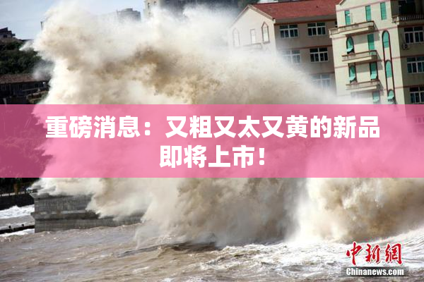 重磅消息：又粗又太又黄的新品即将上市！