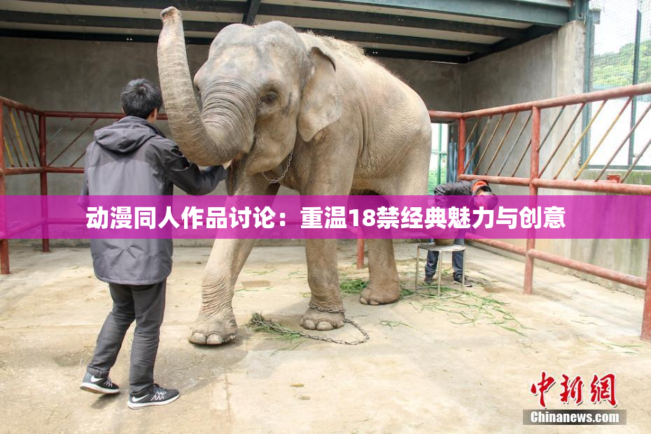动漫同人作品讨论：重温18禁经典魅力与创意
