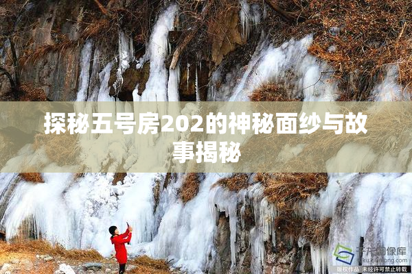 探秘五号房202的神秘面纱与故事揭秘