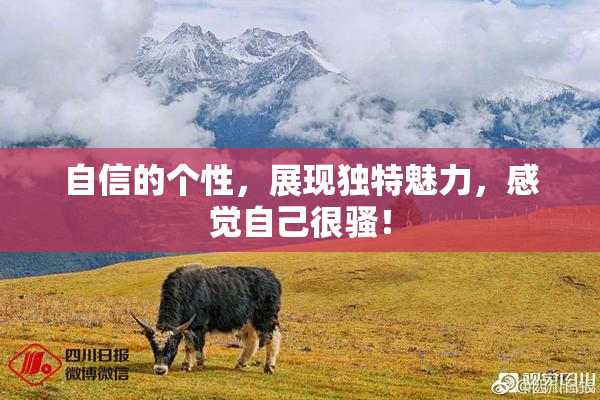 自信的个性，展现独特魅力，感觉自己很骚！