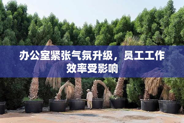 办公室紧张气氛升级，员工工作效率受影响