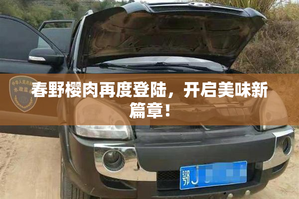 春野樱肉再度登陆，开启美味新篇章！