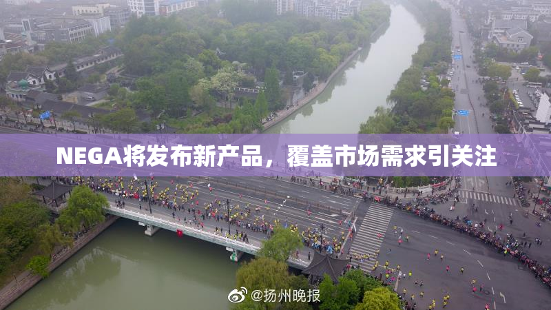 NEGA将发布新产品，覆盖市场需求引关注