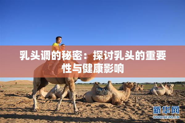 乳头调的秘密：探讨乳头的重要性与健康影响