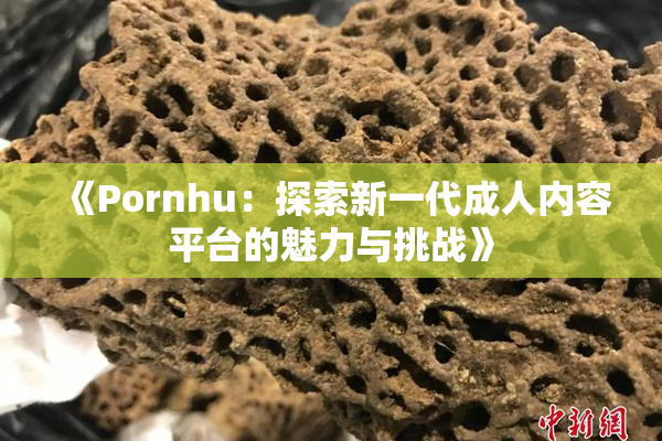 《Pornhu：探索新一代成人内容平台的魅力与挑战》