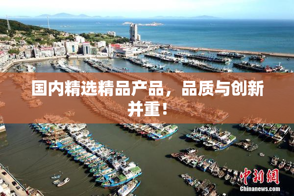国内精选精品产品，品质与创新并重！