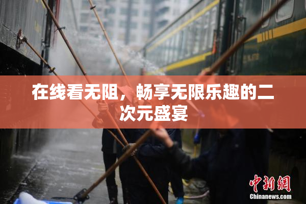 在线看无阻，畅享无限乐趣的二次元盛宴