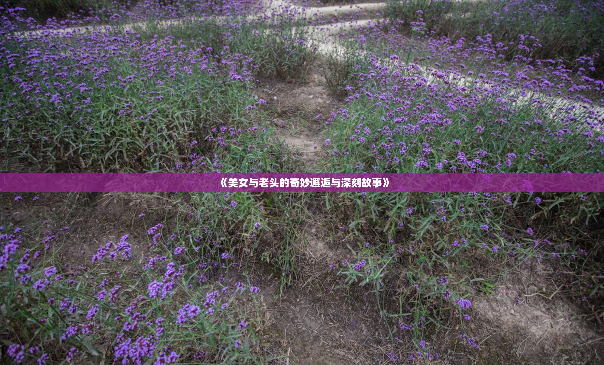 《美女与老头的奇妙邂逅与深刻故事》