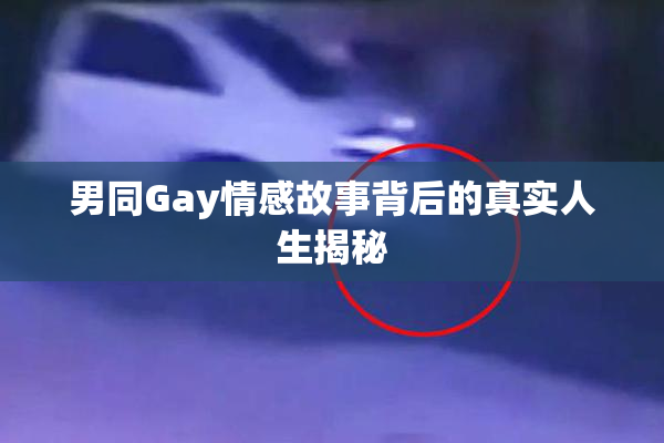 男同Gay情感故事背后的真实人生揭秘