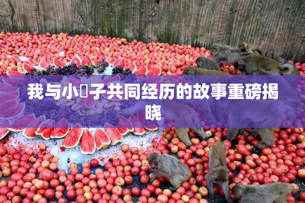 我与小娻孑共同经历的故事重磅揭晓