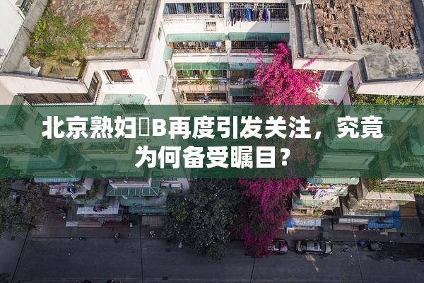 北京熟妇槡B再度引发关注，究竟为何备受瞩目？