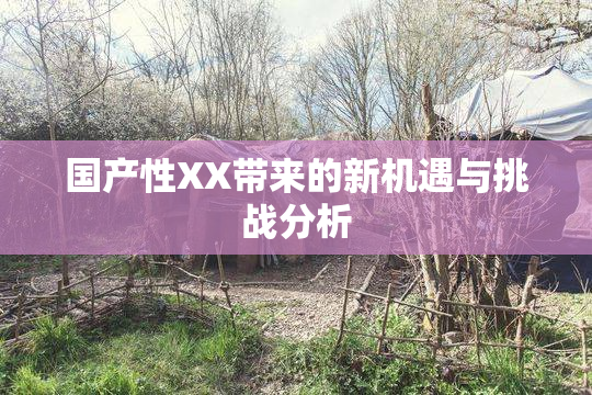 国产性XX带来的新机遇与挑战分析