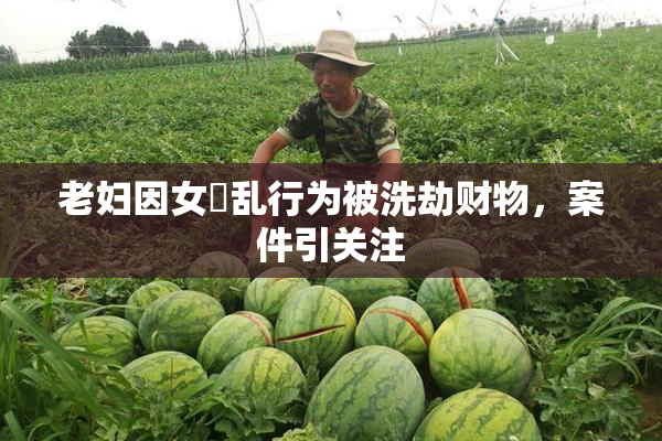 老妇因女婬乱行为被洗劫财物，案件引关注
