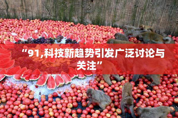 “91,科技新趋势引发广泛讨论与关注”