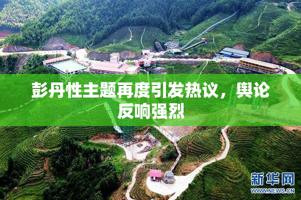 彭丹性主题再度引发热议，舆论反响强烈