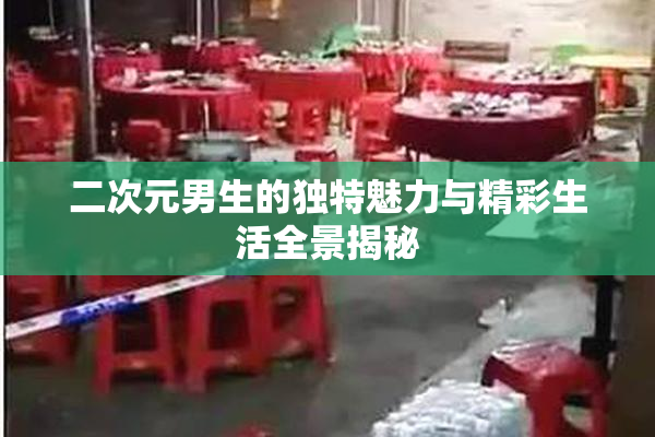 二次元男生的独特魅力与精彩生活全景揭秘