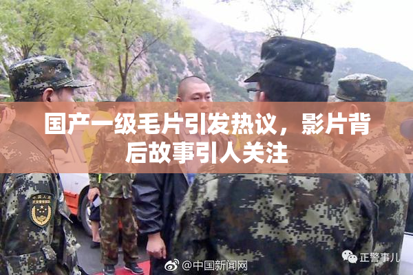 国产一级毛片引发热议，影片背后故事引人关注