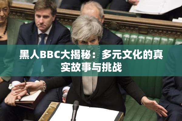 黑人BBC大揭秘：多元文化的真实故事与挑战