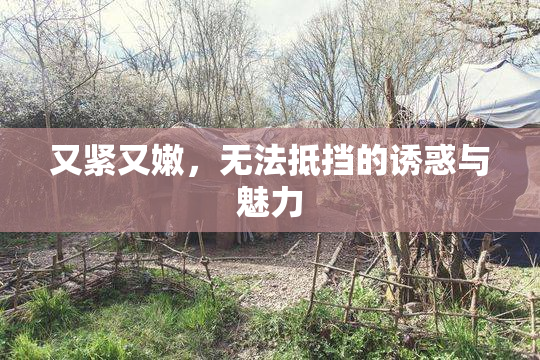 又紧又嫩，无法抵挡的诱惑与魅力
