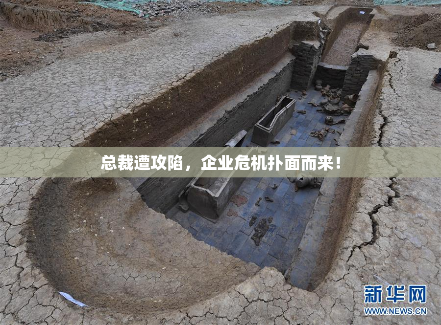 总裁遭攻陷，企业危机扑面而来！