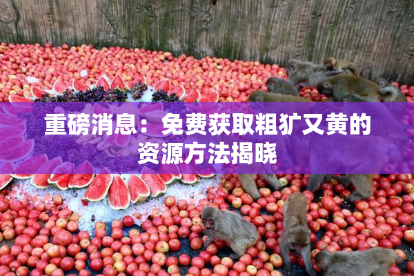 重磅消息：免费获取粗犷又黄的资源方法揭晓