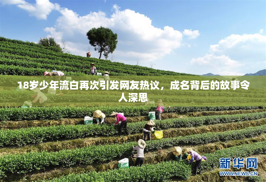 18岁少年流白再次引发网友热议，成名背后的故事令人深思