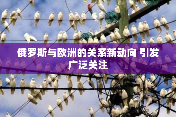 俄罗斯与欧洲的关系新动向 引发广泛关注