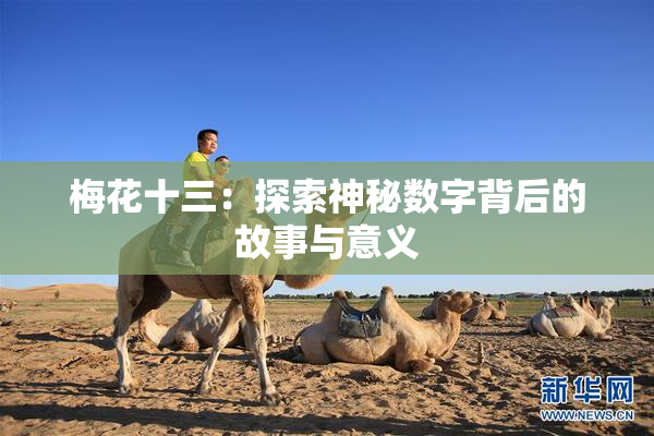 梅花十三：探索神秘数字背后的故事与意义