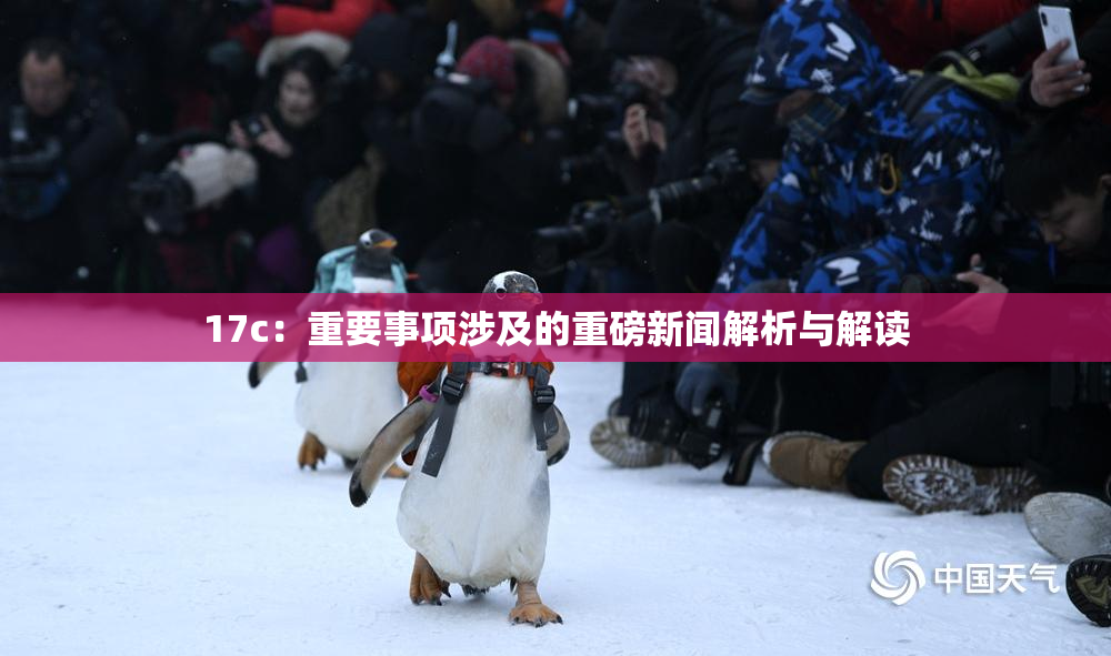 17c：重要事项涉及的重磅新闻解析与解读