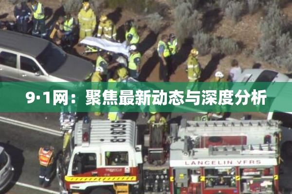9·1网：聚焦最新动态与深度分析