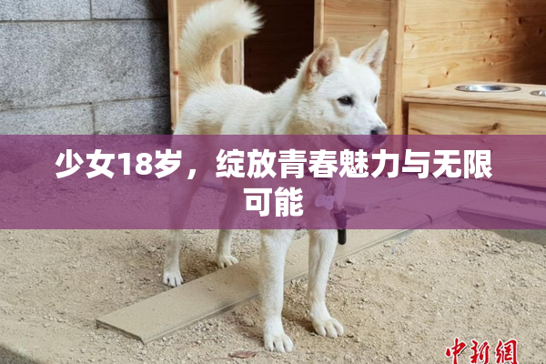 少女18岁，绽放青春魅力与无限可能