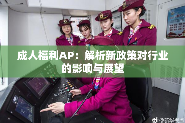 成人福利AP：解析新政策对行业的影响与展望