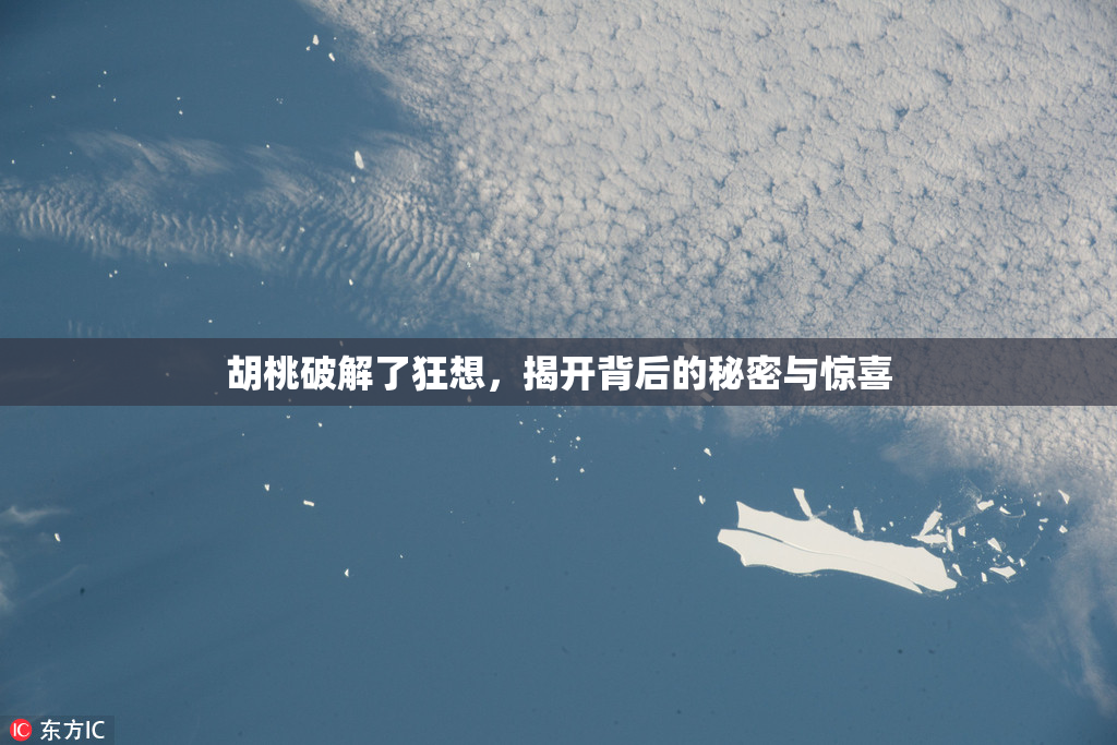 胡桃破解了狂想，揭开背后的秘密与惊喜