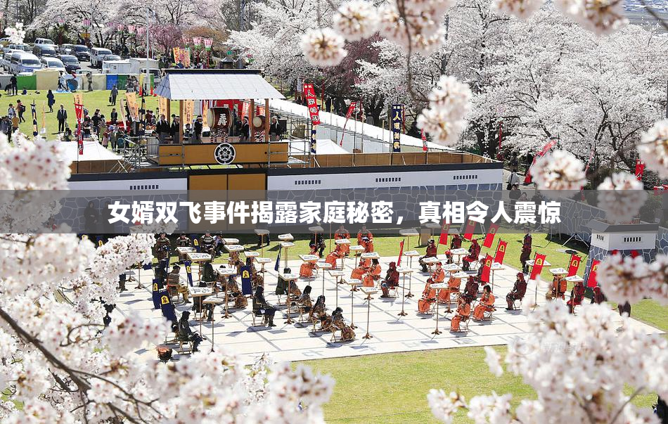 女婿双飞事件揭露家庭秘密，真相令人震惊