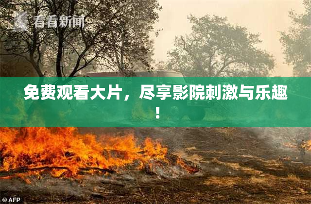 免费观看大片，尽享影院刺激与乐趣！