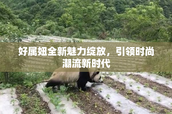 好属妞全新魅力绽放，引领时尚潮流新时代