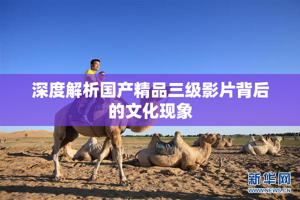 深度解析国产精品三级影片背后的文化现象