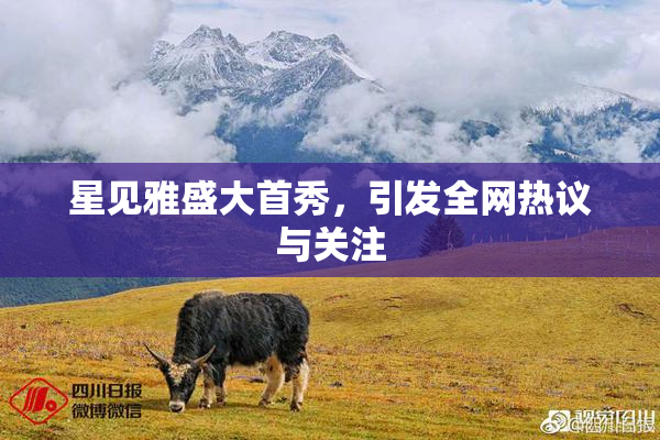 星见雅盛大首秀，引发全网热议与关注