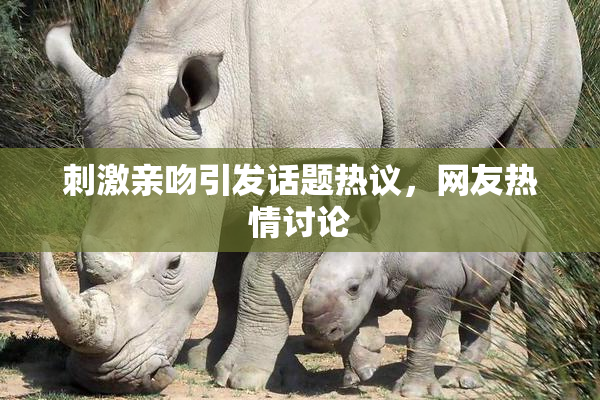 刺激亲吻引发话题热议，网友热情讨论