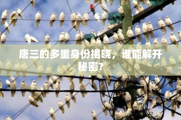 唐三的多重身份揭晓，谁能解开秘密？
