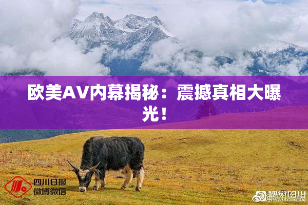 欧美AV内幕揭秘：震撼真相大曝光！